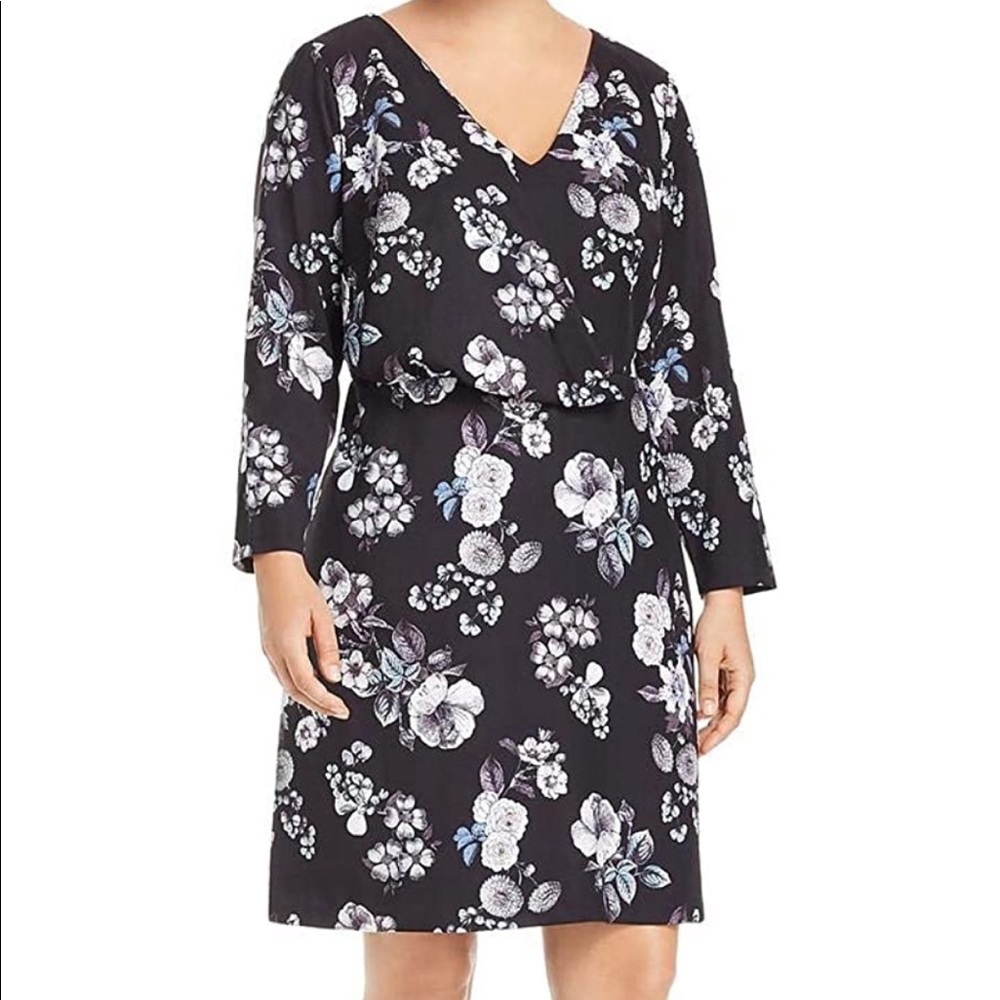 Adrianna papell dress